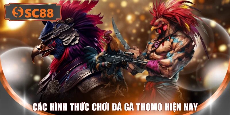 Các hình thức chơi đá gà Thomo hiện nay