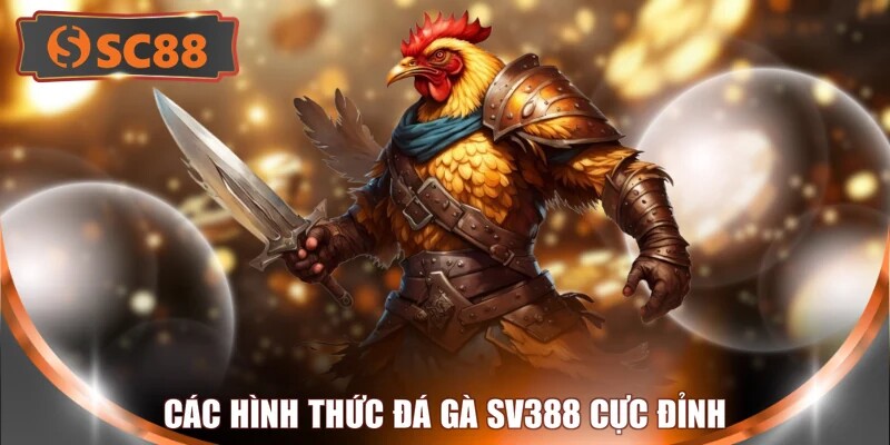 Các hình thức đá gà SV388 cực đỉnh