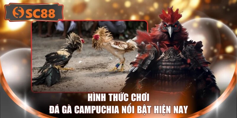 Hình thức chơi đá gà Campuchia nổi bật hiện nay