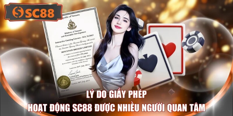 Lý do giấy phép hoạt động SC88 được nhiều người quan tâm