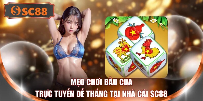 Mẹo chơi bầu cua trực tuyến dễ thắng tại nhà cái SC88