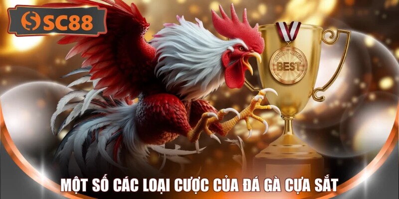 Một số các loại cược của đá gà cựa sắt