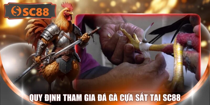 Quy định tham gia đá gà cựa sắt tại SC88