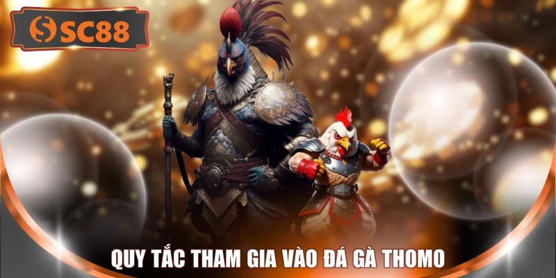 Quy tắc tham gia vào đá gà Thomo