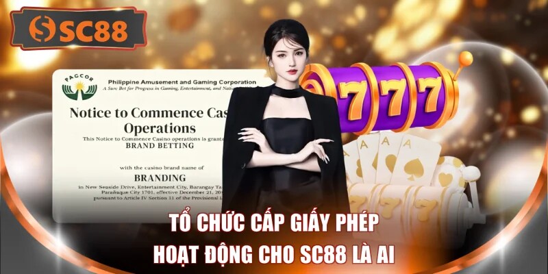 Tổ chức cấp giấy phép hoạt động cho SC88 là ai