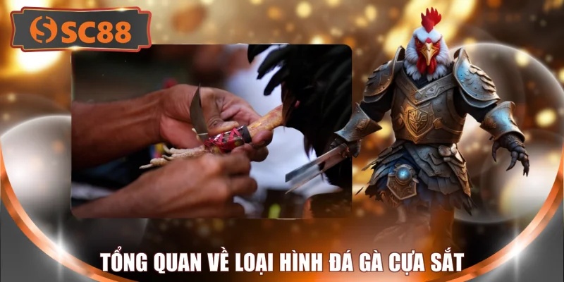 Tổng quan về loại hình đá gà cựa sắt